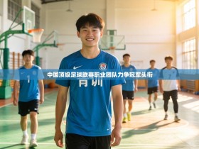 中国顶级足球联赛职业团队力争冠军头衔