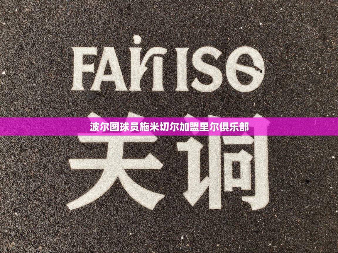 波尔图球员施米切尔加盟里尔俱乐部  第1张